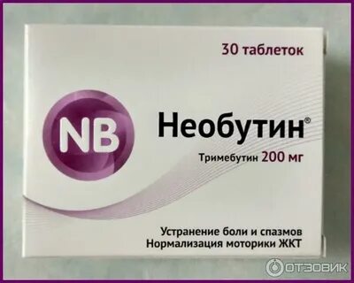 24 лек