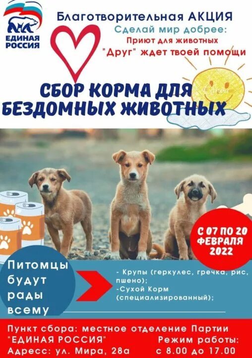 Благотворительная акция по сбору корма для животных. Благотворительная акция по сбору корма для бездомных животных. благотворительная акция для животных по сбору корма. акция сбор корма для бездомных животных. благотворительная акция сбор кормов для бездомных животных.