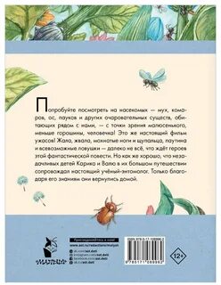 Необыкновенные приключения карика и вали кратко