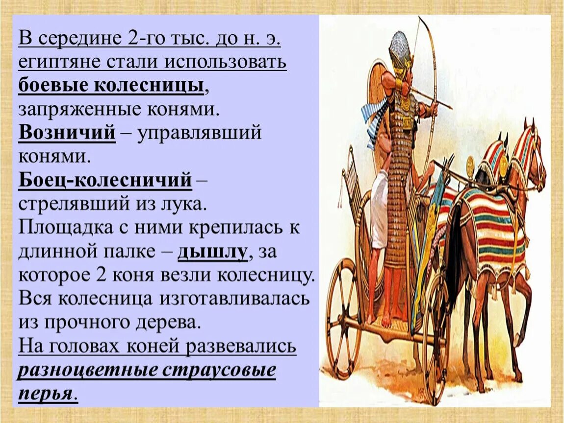 Военные походы фараонов 5 класс впр кратко