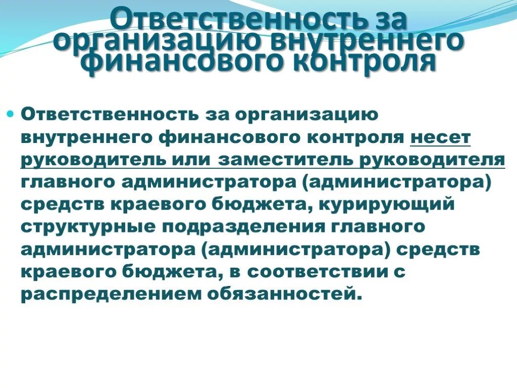 Предложения по организации внутреннего контроля. Обязанности внутреннего контроля. Ответственность внутреннего контроля. Обязанности субъектов внутреннего финансового контроля. Кто отвечает за организацию внутреннего контроля на предприятии.