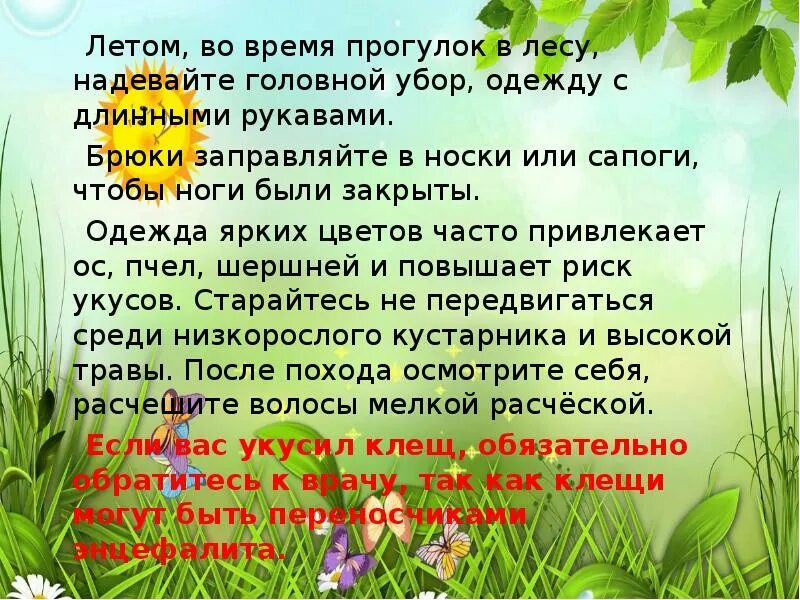 План как был в лесу летом. Прогулка по летнему лесу. Летняя прогулка в лесу план рассказа. План летом в лесу. План к рассказу про летний лес.