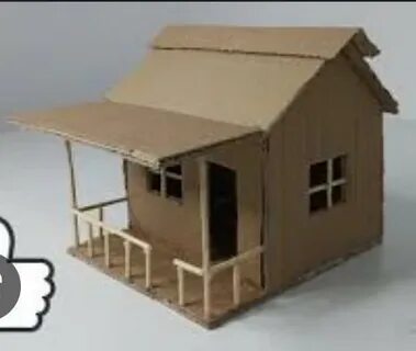 Анус пен кисканың жақыннан түсірілуі