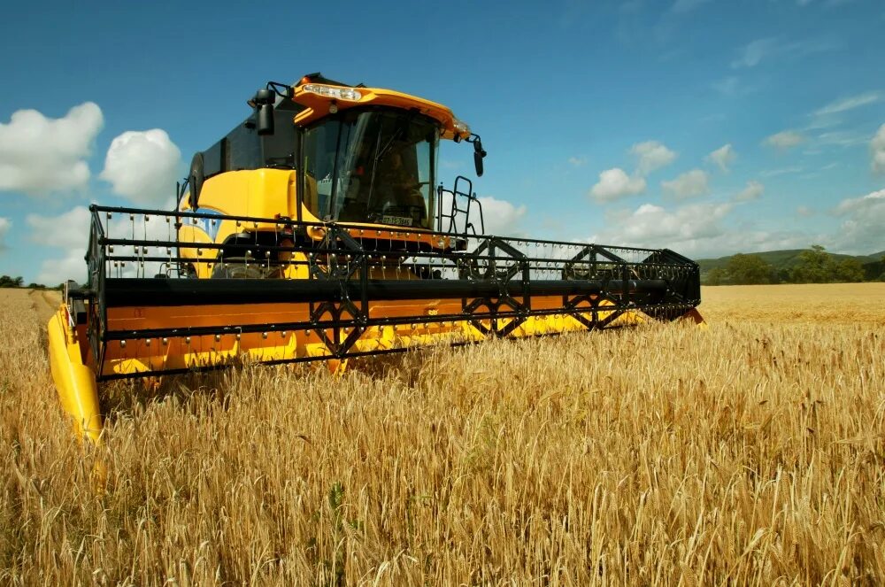 Свеклоуборочный комбайн российского производства ростсельмаш. Экспорт пшеницы. Свеклоуборочный комбайн ростсельмаш. Уборка пшеницы. Свекловично зерновой и зерновой сельскохозяйственный.