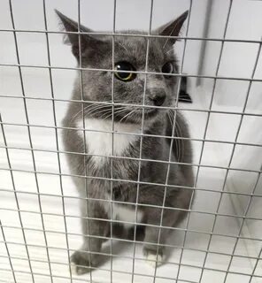 Право на жизнь котлас