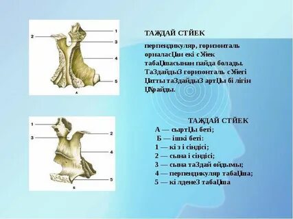 Қараусыз ғимараттағы орыс порносы жезөкшеге елік етті