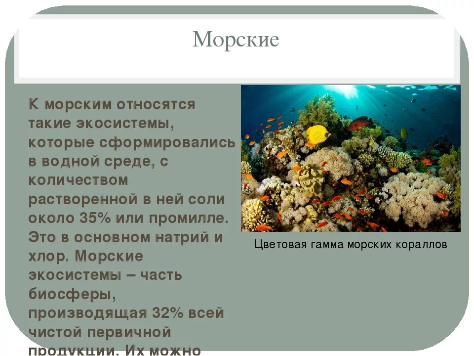 Океан можно отнести к. Морские экосистемы. Экосистема моря. Экосистема презентация. Презентация на тему экосистема.