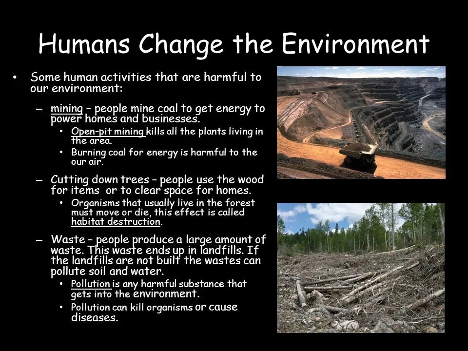 Проект the Human environment. People harm the environment. Changes in the environment. Human and environment topic.