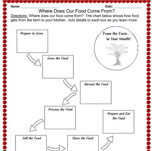 Festivals Worksheets. Where does food come from. Where does food come from Worksheet. High School Worksheets.