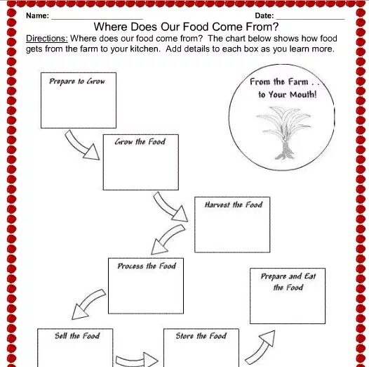 Where do names come from. Where does food come from worksheet. festivals worksheets. where does food come from for kids worksheets. high school worksheets.