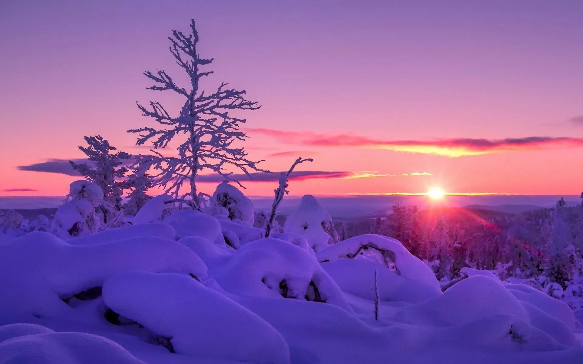 Snow is beautiful. Зимний закат. Закат зимой. Красивый зимний закат. Обои зима.