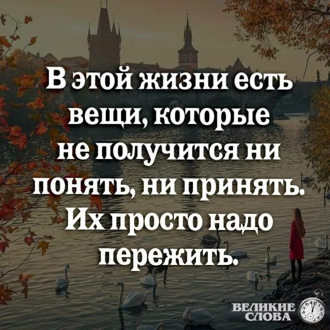 Не прожить в мире этом без потерь. Цитаты про переживания. И это надо пережить. Жить трудно но надо. Все нужно просто пережить.