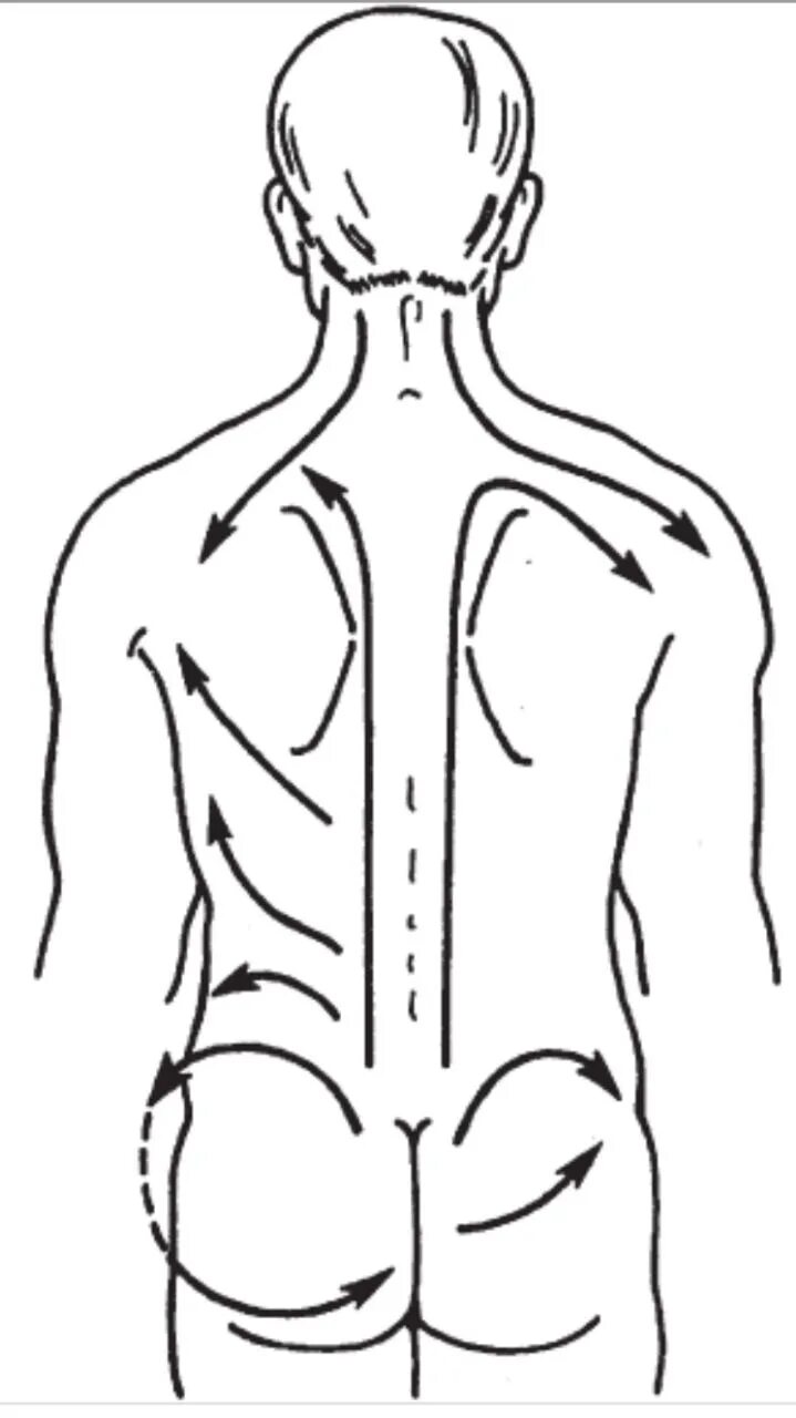 Направление массажных движений при массаже. Массаж спины техника. Методика массажа спины. Массаж спины техника выполнения. Массаж спины направление движения.