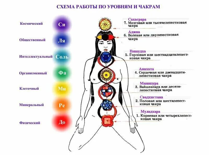 Ощущения чакр. Чакры человека схема. 12 чакровая система человека схема. чакры человека название и расположение. схема чакры человека на теле человека.