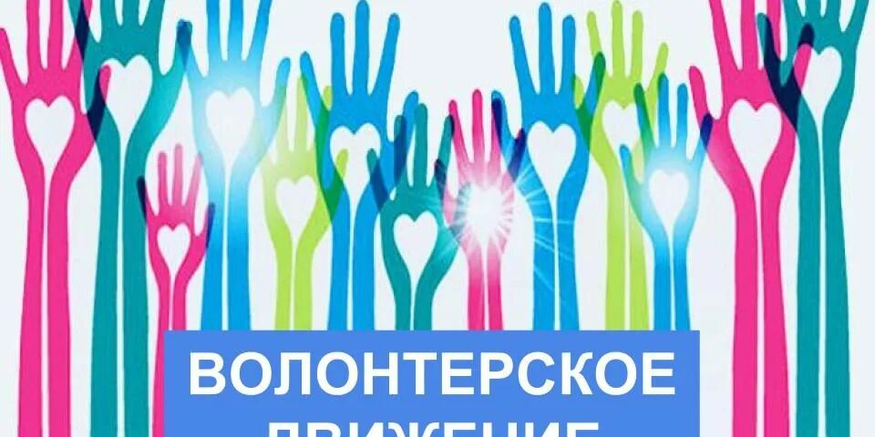 Волонтёрское движение в школе. Волонтерское движение в россии. Волонтерские проекты. Волонтерское движение в россии. Волонтерское движение в россии презентация.