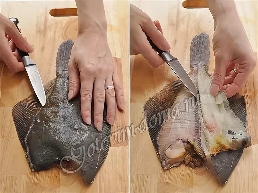 выпотрошить камбалу. выпотрошить камбалу. чешуя камбалы. как разделывать камбалу фото. камбала рыба филе.