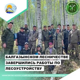 Лесничества республики тыва