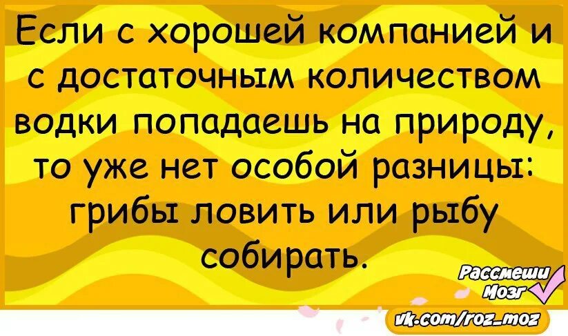 Анекдоты про дружбу. Статус про друзей прикольные. Классные шутки для друзей. Смешные шутки для друзей.