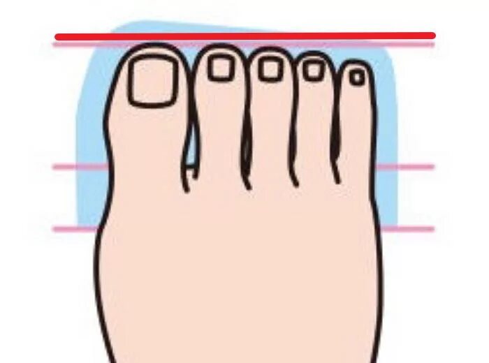 Форма пальцев стопы. Средний палец на ноге длиннее большого. Форма пальцев на ногах.