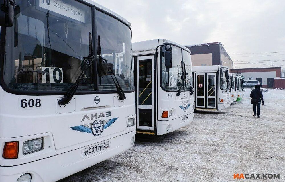 реальные автобусы южно сахалинск. новый маз 206 южно сахалинск. реальные автобусы южно сахалинск. автобус 81 южно-сахалинск. муп транспортная компания южно сахалинск фото.