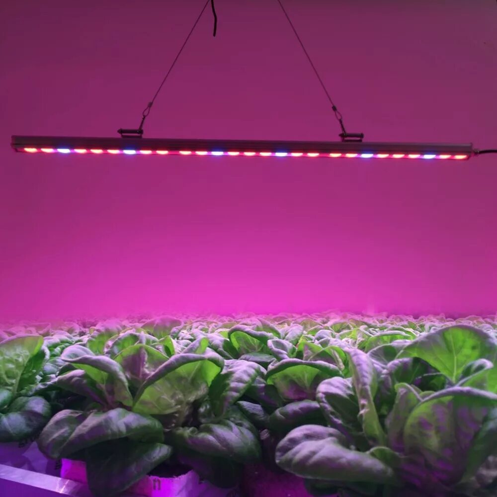 Фитолампа для растений 30w 500 led. Фитолампа grow Light 40 Вт. Фитолампа led grow Light. Фитолампа светодиодная д/растений е27 5вт 24шт bioгрядка.