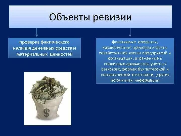 Ревизия представляет собой
