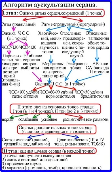 Тахисистолия это. Проведение аускультации сердца алгоритм. Алгоритм выслушивания тонов сердца. Аускультация сердца точки выслушивания алгоритм. Порядок проведения аускультации сердца.