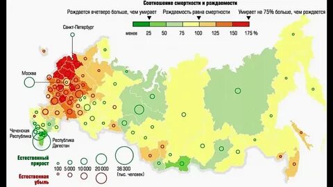 В каком регионе родился