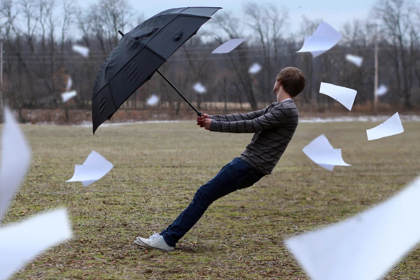 Windy. Ветер фотосток. Фото Windy weather. A very strong wind