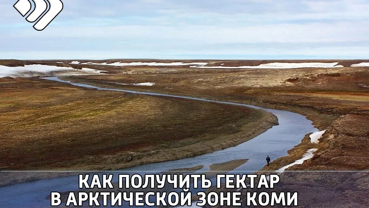 Арктический гектар в коми. Республика коми арктика. Арктической зоной коми. Арктическая зона республики коми города. Арктической зоной коми.