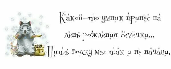 Смешные фразы день рождения короткие. Цитаты про день рождения. Смешные цитаты про день рождения. Смешные фразы на день рождения. Прикольные высказывания про день рождения.