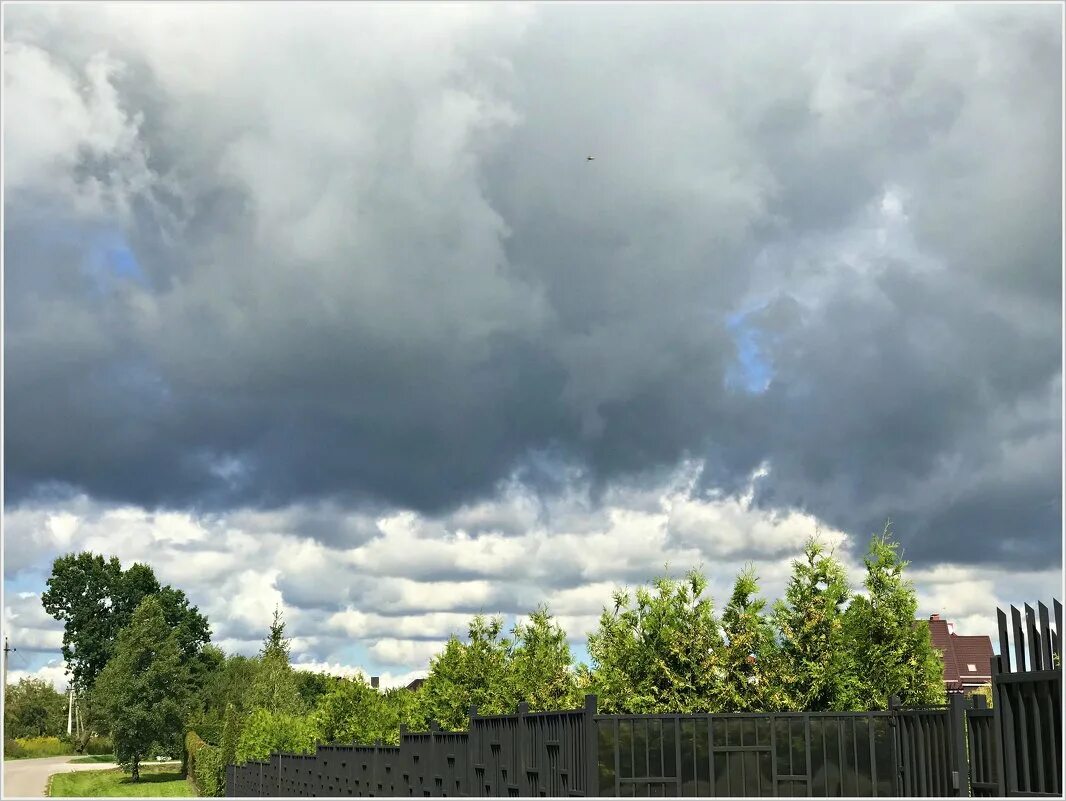 Тучи летом. Кажется дождь начинается. Винни пух кажется дождь начинается. Кажется дождь собирается прикол. Кажется дождь собирается картинки.