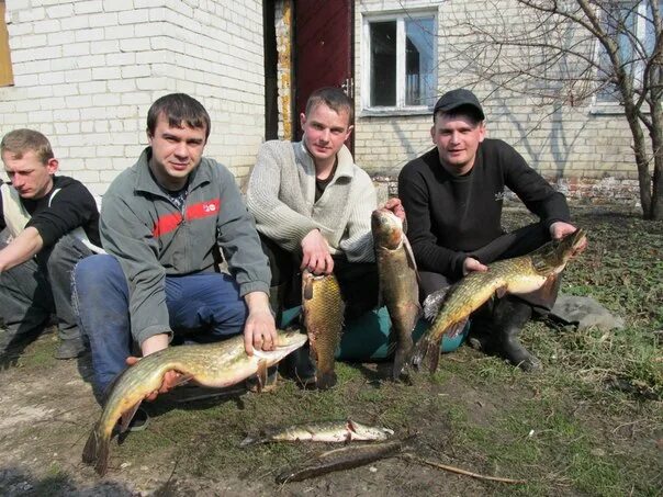 Прямицыно. Погода в Прямицыно. Погода в прямицыно курская область 10 дней