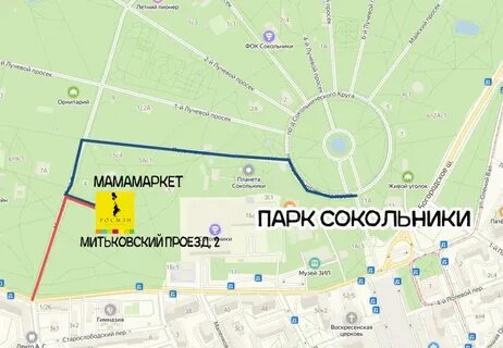 Ремонт парка сокольники
