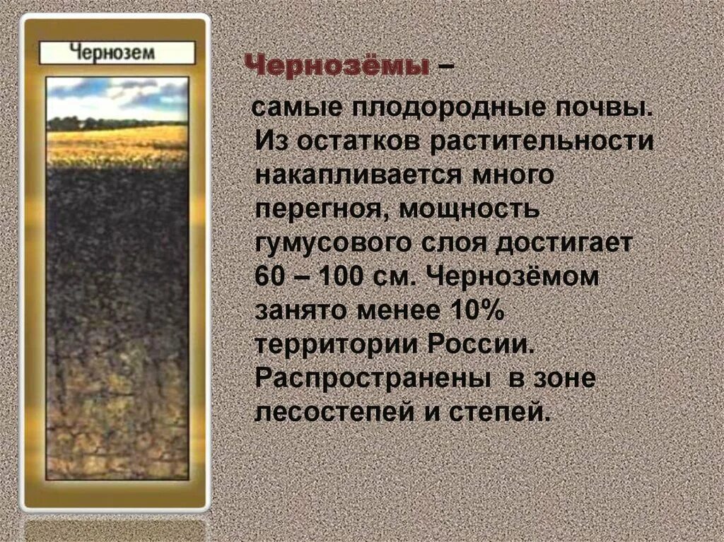 Самые не плодоролнве почвы. Самые плодородные почвы. Сероземы самые плодородные почвы. Черноземные почвы распространены. Главное богатство железные руды и плодородные почвы