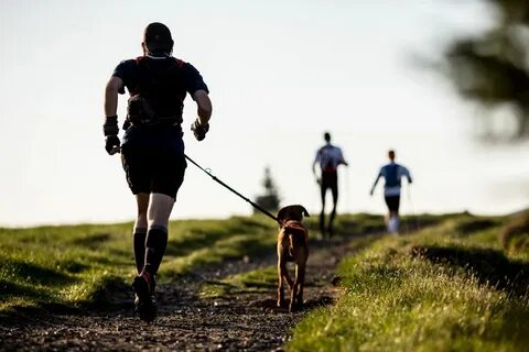 Run partners