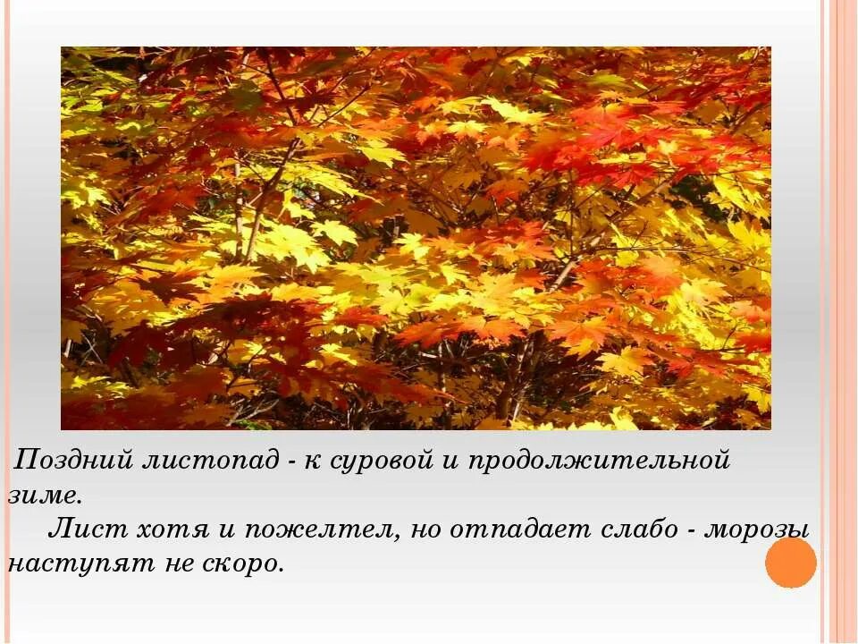 Поздний листопад. Презентация красота осени. Предложение на тему листопад. Слайд на тему листопад. Осенний листопад предложения