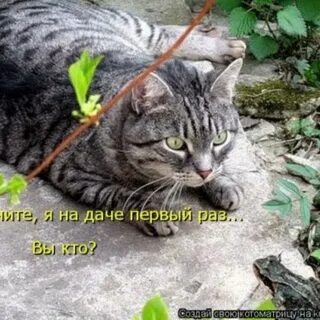 А я с нее балдею