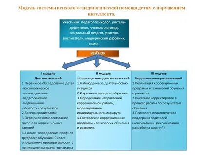 Содержание обучения детей с нарушениями интеллекта