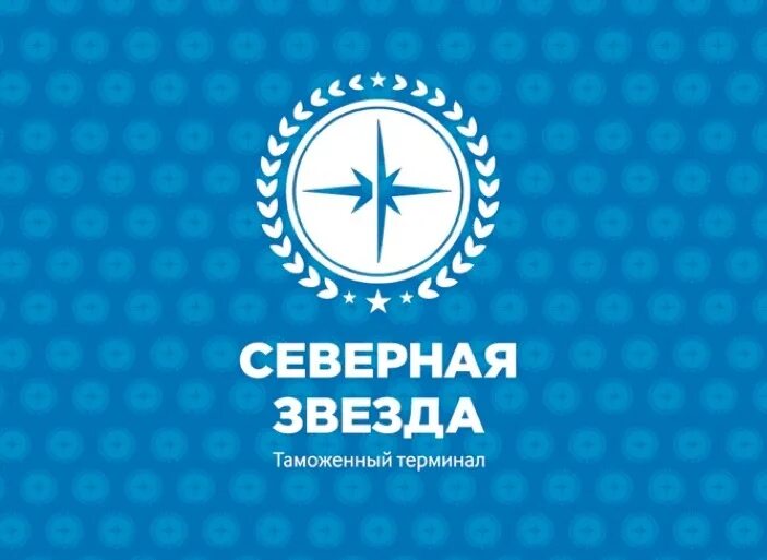 северная звезда канал. хк северная звезда 2005. северная звезда карелия. северная звезда канал. хоккейная команда северная звезда медведково.