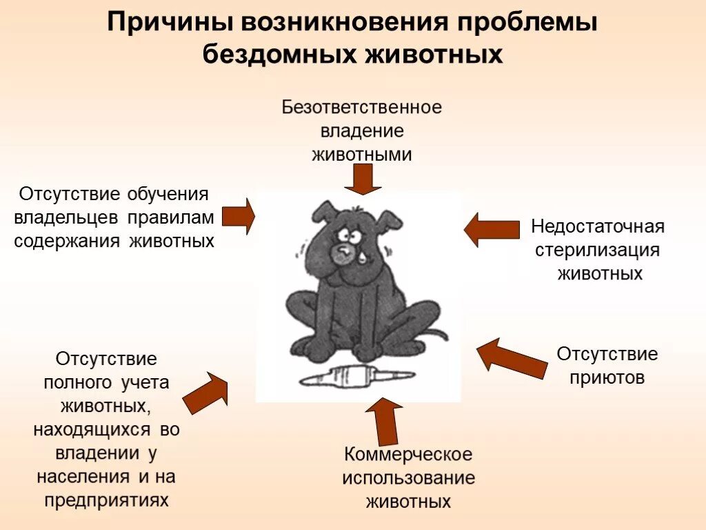 По каким чертам поведения можно узнать безответственного. Проблема бездомных животных. Проблемы животных. Причины возникновения бездомных животных. Проблема появления бездомных животных.