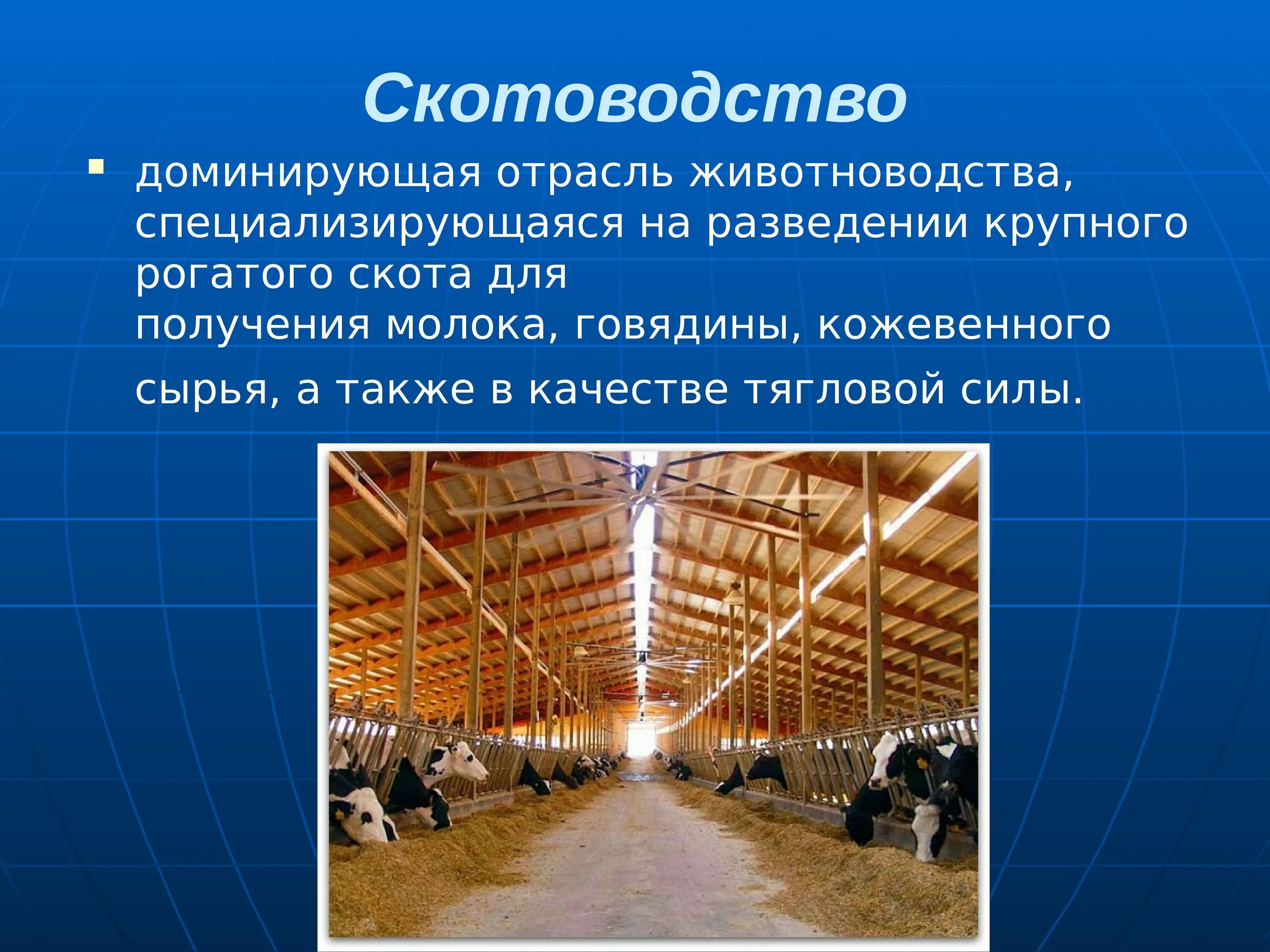 Сельскохозяйственные технологии 5 класс. Скотоводство отрасль животноводства. Животноводство презентация. Презентация отрасли животноводства. Презентация на тему скотоводство.