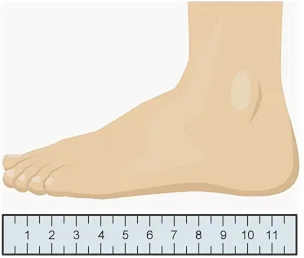 5 feet в см