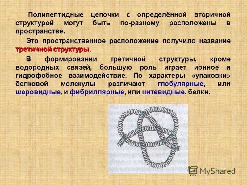Устойчивость третичной структуры обеспечивается