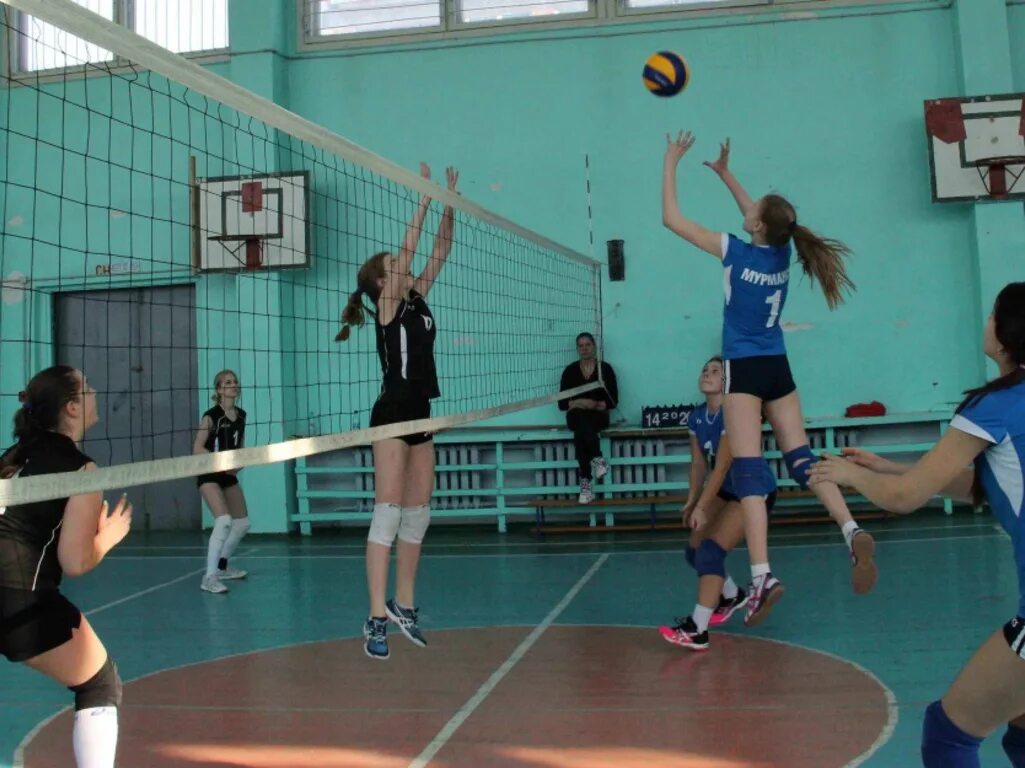 Спортивный клуб волейбол. Волейбол в школе. Волейбол. Школьный волейбол девушки. Школьный волейбол девочки.