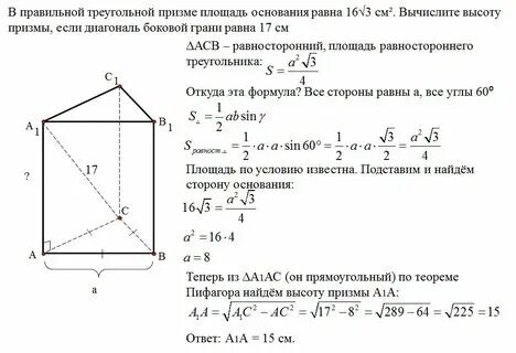 Высота правильной призмы это