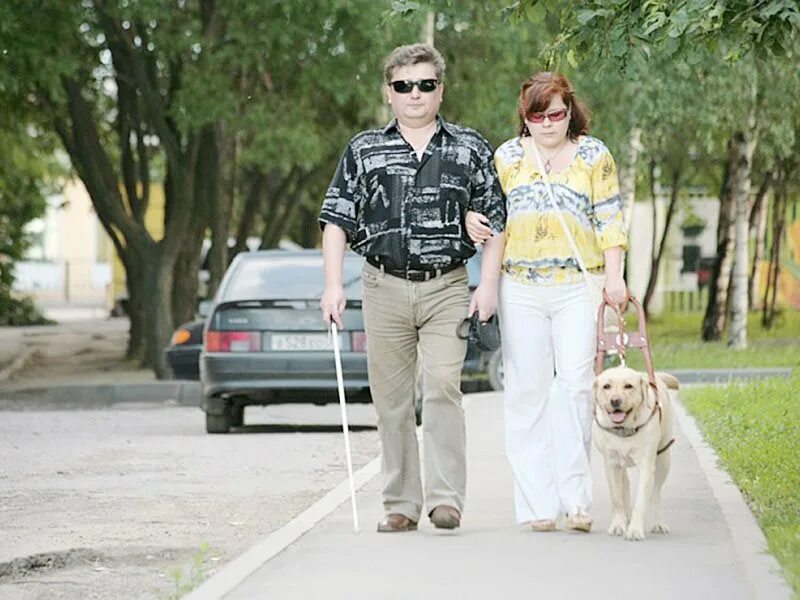 3 дня слепого. Знаменитые Слепые люди. Незрячие знаменитости. Слепой человек. День слепых.