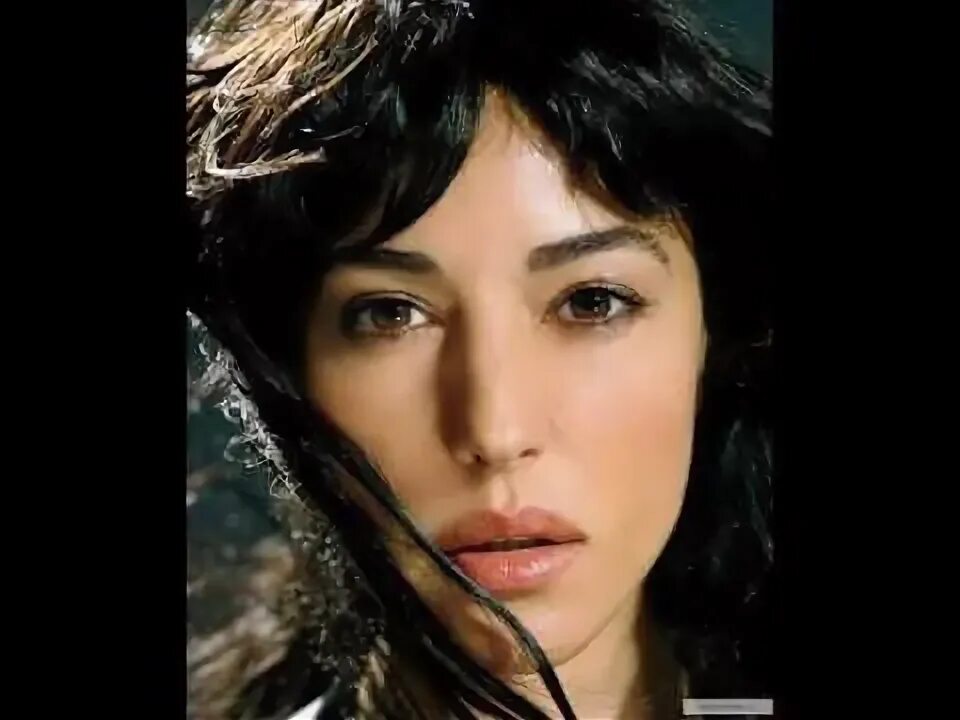 Ti amo умберто тоцци. Umberto bellucci. Umberto bellucci. Книга моники белуччи. Umberto bellucci.