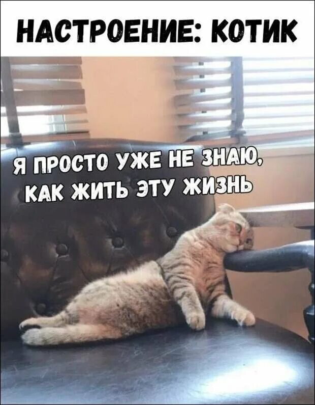 Так как как уже было