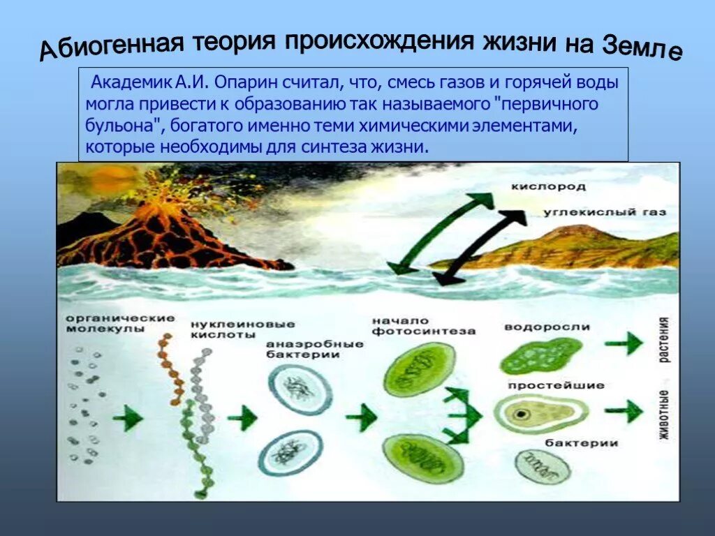 Возникновение жизни на земле теория биохимической эволюции. Гипотеза химической эволюции. Начальные этапы биологической эволюции. Схема гипотезы происхождения жизни на земле.